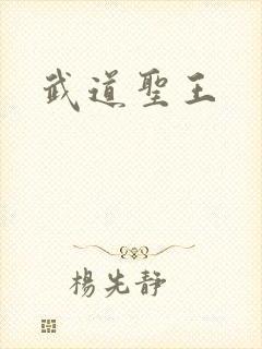武道圣王