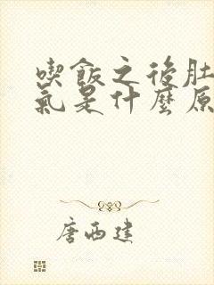 吃饭之后肚子胀气是什么原因