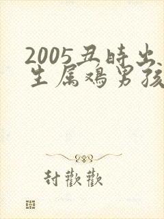 2005丑时出生属鸡男孩命运如何封面