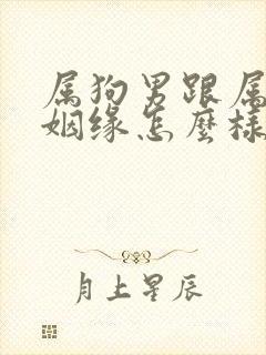 属狗男跟属兔女姻缘怎么样