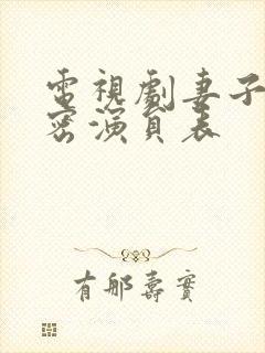 电视剧妻子的秘密演员表封面