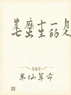 农历十一月二十七出生的人命运如何