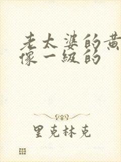 老太婆的黄色录像一级的