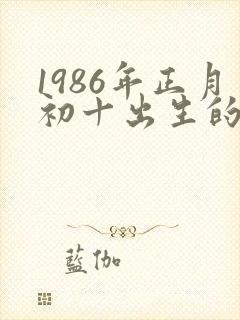 1986年正月初十出生的人命运