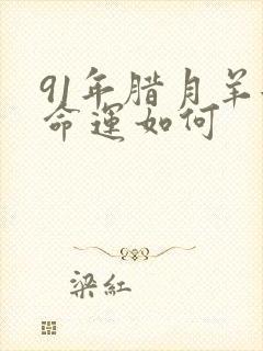 91年腊月羊女命运如何