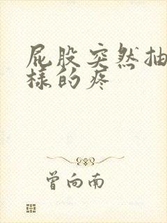 屁股突然抽筋一样的疼