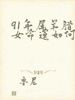 91年属羊腊月女命运如何