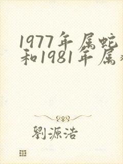 1977年属蛇和1981年属鸡姻缘怎么样
