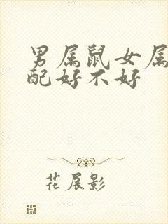 男属鼠女属狗婚配好不好