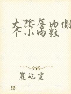 大阴唇内侧长了个小肉粒