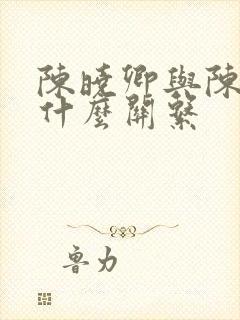 陈晓卿与陈晓楠什么关系