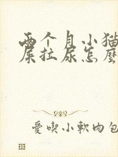 两个月小猫乱拉屎拉尿怎么办