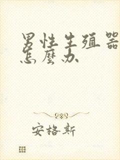 男性生殖器官弯怎么办