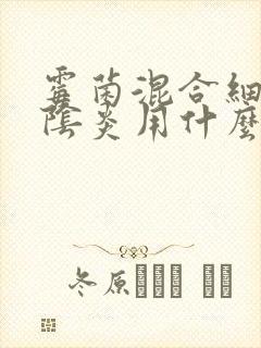 霉菌混合细菌性阴炎用什么药效果好