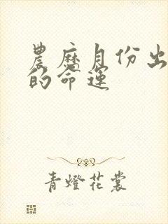 农历月份出生人的命运