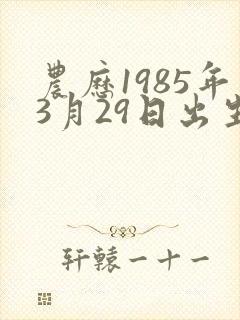 农历1985年3月29日出生人的命运