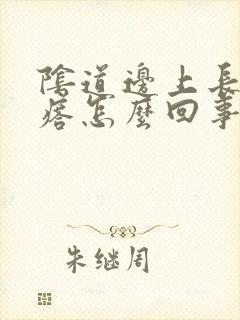 阴道边上长小疙瘩怎么回事