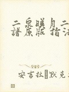 二泉映月二胡简谱原版 指法封面