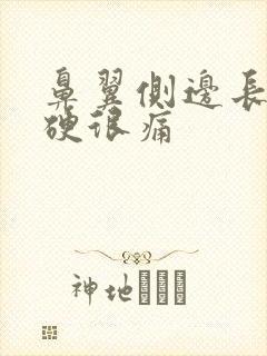 鼻翼侧边长痘很硬很痛