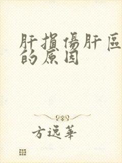 肝损伤肝区疼痛的原因