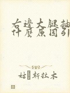 右边大腿抽筋是什么原因引起的