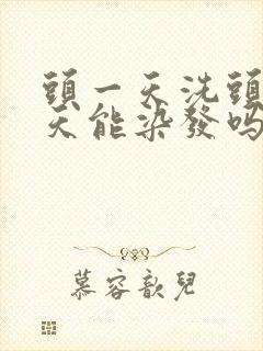 头一天洗头第二天能染发吗