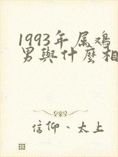 1993年属鸡男与什么相配封面
