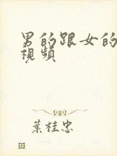 男的跟女的啪啪视频