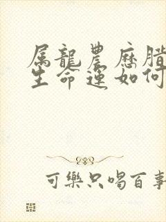 属龙农历腊月出生命运如何