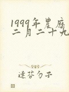 1999年农历二月二十九是什么命