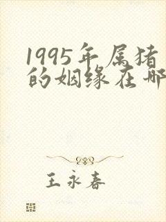 1995年属猪的姻缘在哪年