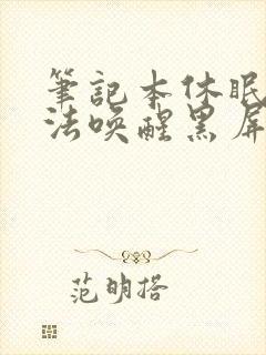 笔记本休眠后无法唤醒黑屏