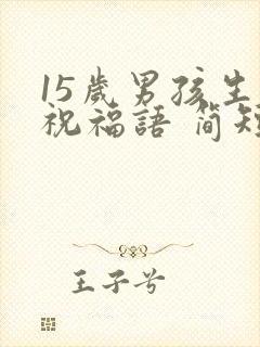 15岁男孩生日祝福语 简短独特封面