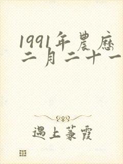 1991年农历二月二十一出生封面
