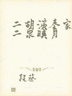 二胡演奏家宋飞二泉映月封面