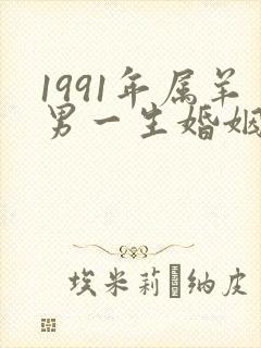 1991年属羊男一生婚姻状况封面