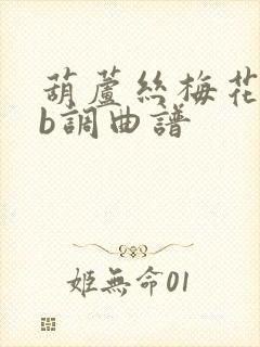 葫芦丝梅花泪降b调曲谱