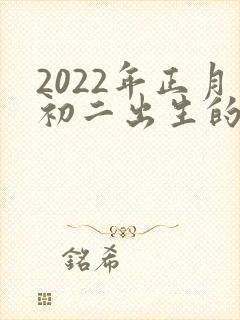2022年正月初二出生的男孩命运怎么样