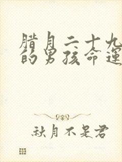 腊月二十九出生的男孩命运