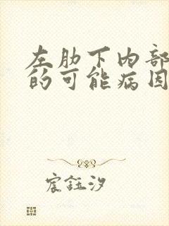 左肋下内部疼痛的可能病因