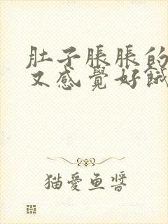 肚子胀胀的但是又感觉好饿怎么回事封面