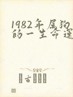 1982年属狗的一生命运如何