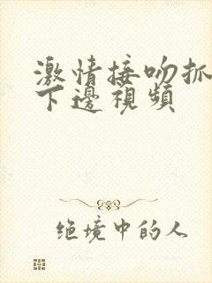 激情接吻抓胸摸下边视频