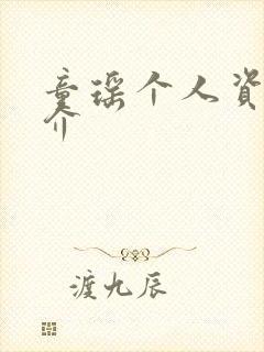 童瑶个人资料简介