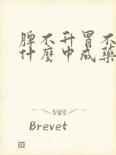 脾不升胃不降吃什么中成药