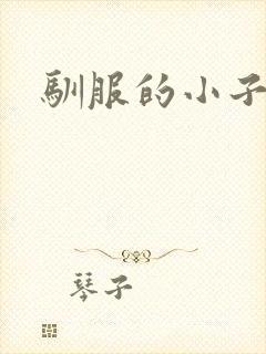 驯服的小子4封面