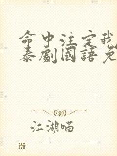 命中注定我爱你泰剧国语免费观看全集