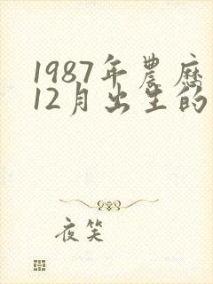 1987年农历12月出生的命运