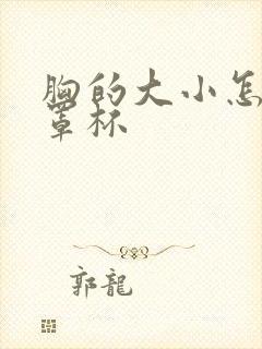 胸的大小怎么分罩杯