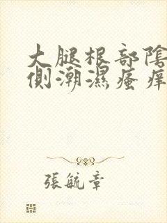 大腿根部阴囊两侧潮湿瘙痒